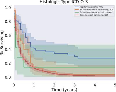 Primary squamous cell carcinoma of the pancreas: an update on a rare neoplasm from the SEER database